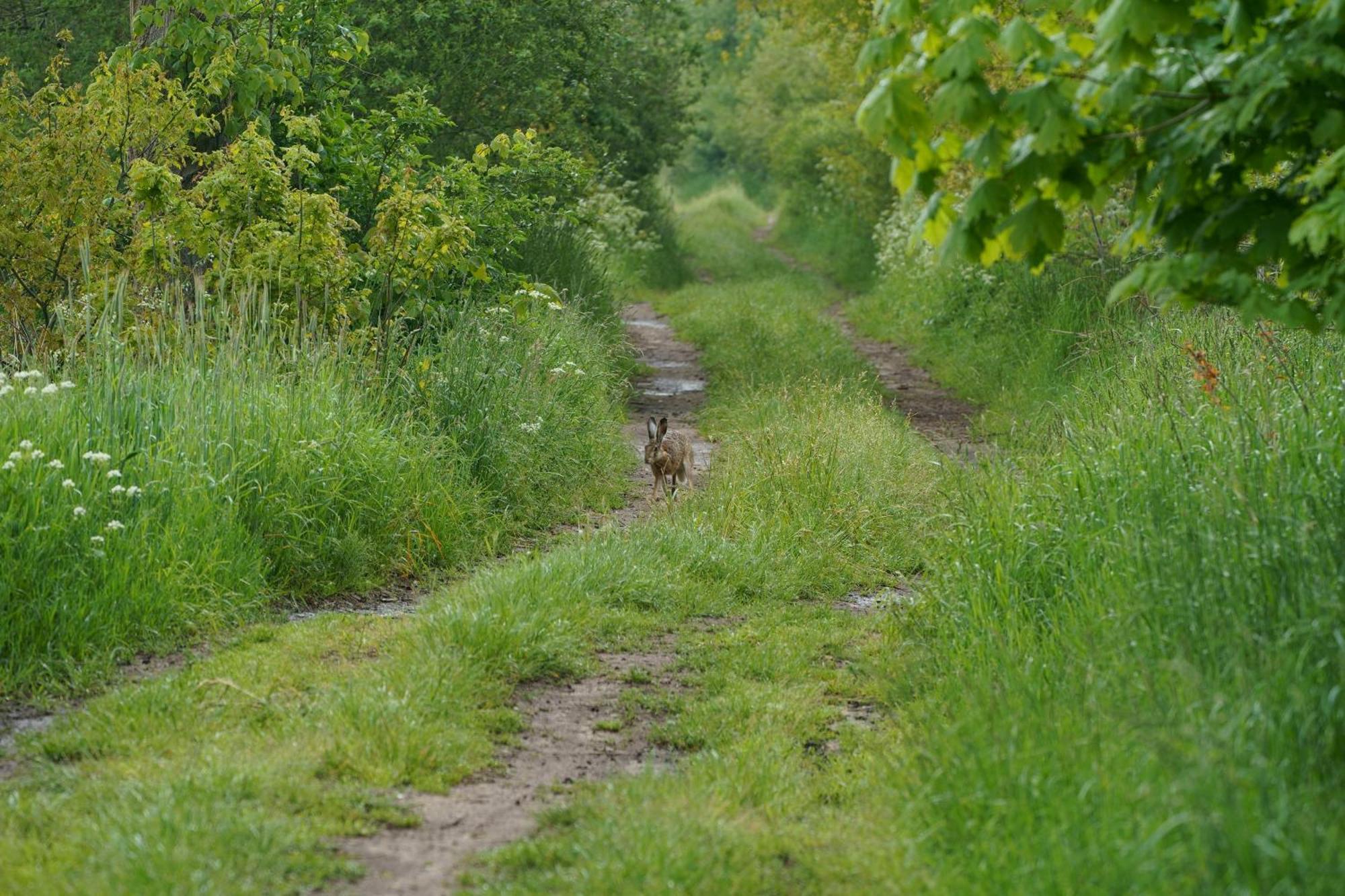 Domki Letniskowe Nad Morzem Ujście-Darłowskie Exteriér fotografie
