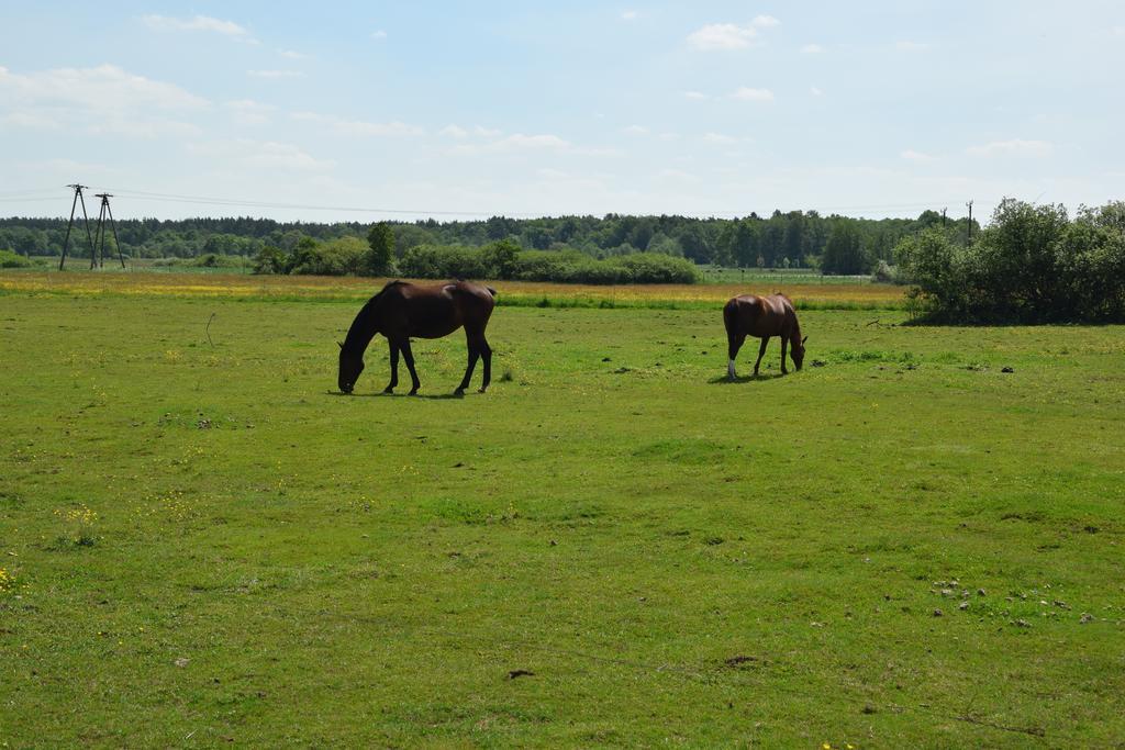 Domki Letniskowe Nad Morzem Ujście-Darłowskie Exteriér fotografie